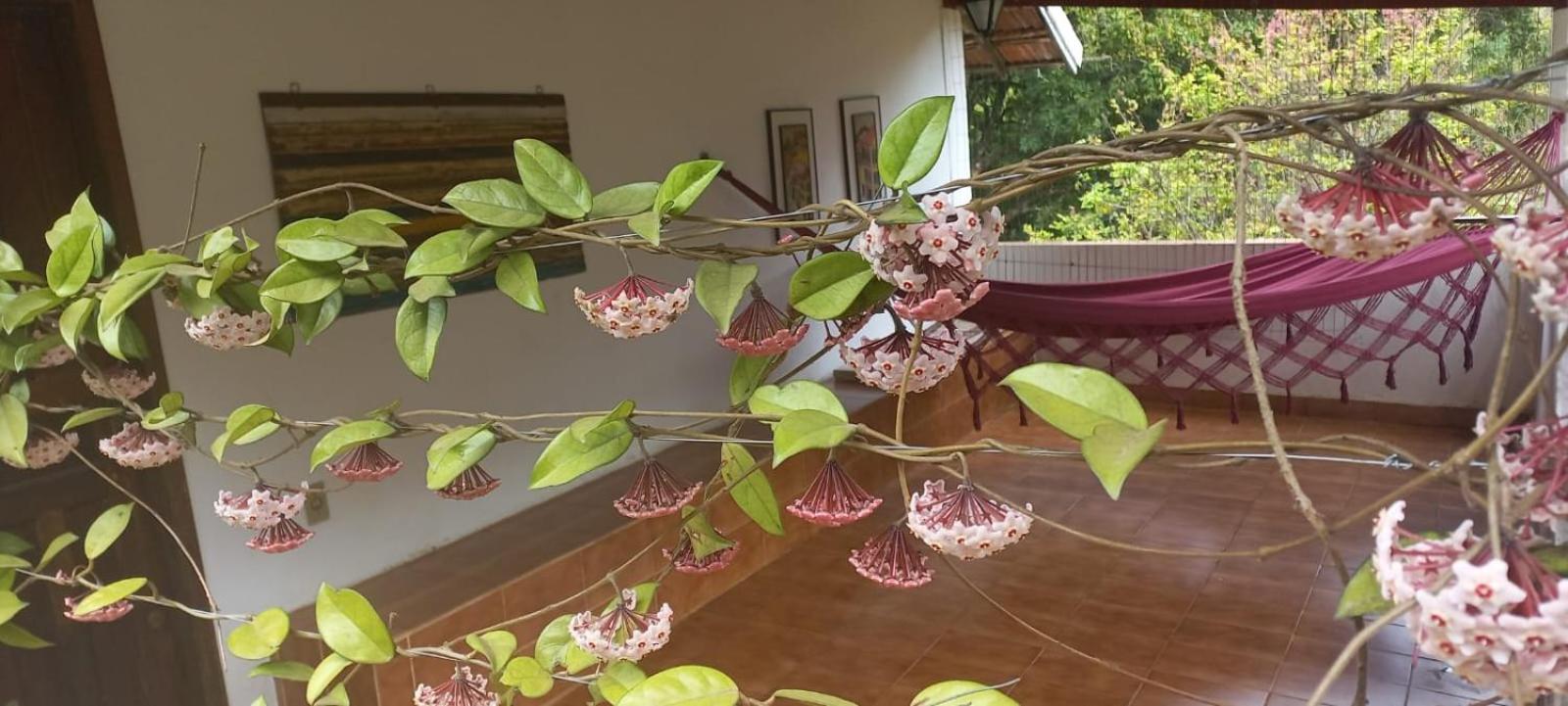 Sitio Das Pedras - Natureza E Tranquilidade Matias Barbosa Ngoại thất bức ảnh